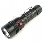 Outdoor Torch