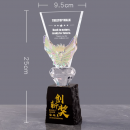創意變色水晶獎座