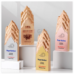 Creative Metal and Solid Wood Trophy