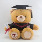 Graduation Bear