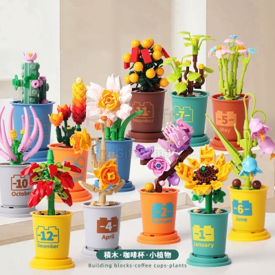 Coffee Cup Plant Series Building Blocks-12 Months Coffee Cup Plant Series Building Blocks-12 Months