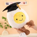 Graduation Doctor Doll
