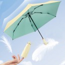 雙龍骨防風隱藏手柄雨傘