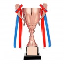 Trophy Cup