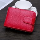 Card  Holder