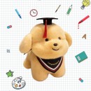 畢業小狗公仔