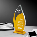 Metal Crystal Trophy