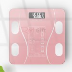 BMI Health Scale