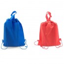 Non Woven Bag