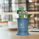 Coffee Cup Plant Series Building Blocks-12 Months Coffee Cup Plant Series Building Blocks-12 Months