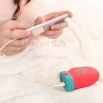 Power Bank with Hand Warmer