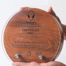 Acrylic Solid Wood Trophy