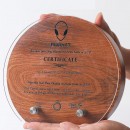 Acrylic Solid Wood Trophy