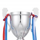 Trophy Cup