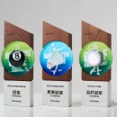 Solid Wood Crystal Award