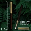 Fountain Pen With Cap