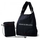 Foldable Multi-Purpose Bag