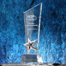 Star Crystal Trophy