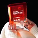 Acrylic Trophy