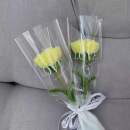 Pipe cleaner carnation bouquet