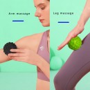 Fascia Ball Fascia Ball