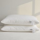 Compressed Pillow core (Pillow) Compressed Pillow core (Pillow)