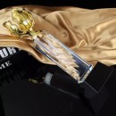 Bauhinia Crystal Trophy