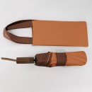 Portable Color-Blocking Plastic Automatic Umbrella