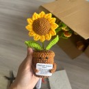 Knitted flower plant pot