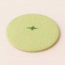 Fruit Acrylic Coaster