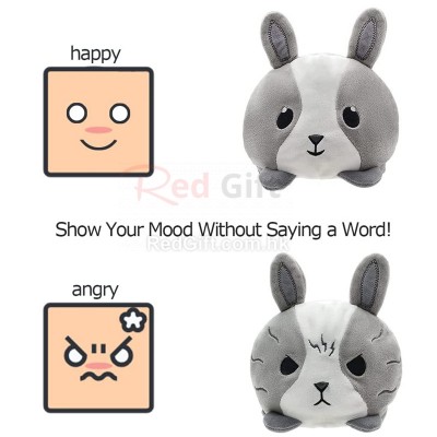 Reversible Face Changing Doll