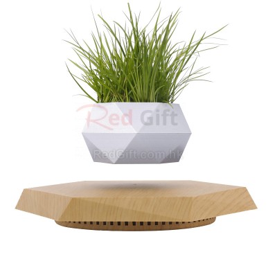 磁浮盆栽創意盆景(不帶植物)