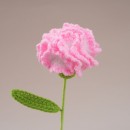 Bouquet of pipe cleaner carnations and tulips
