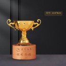 Wooden Metal Trophy