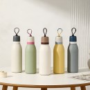 Color-Blocked Insulated Water Bottle