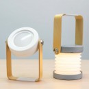 Portable Folding Lamp