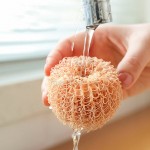 Eggshell Dishwashing Brush