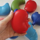 Organ stress ball 