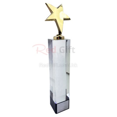 Custom Star Trophy