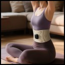 Waist Pulse Massager
