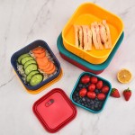 Silicone Lunch Box