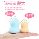 Make-up Sponge with Box