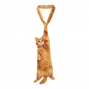 異形領呔可訂製