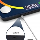 Electronic Health Scale