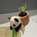 創意擺件植物盆栽