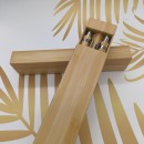 Eco-friendly Pen