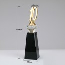 Anniversary Crystal Trophy
