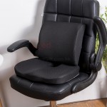 Chair Cushion + Seat cushion Set