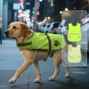 Pet Reflective Vest