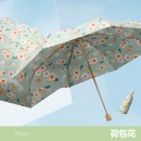 雙層黑膠五摺雨傘